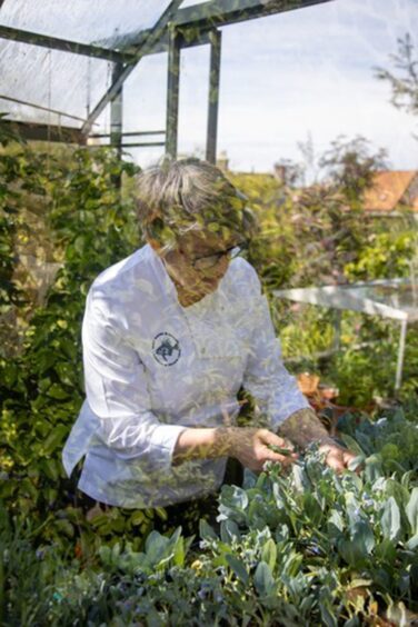 Ruth Robinson in her greenhouse.