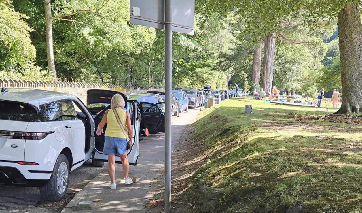 Cars parked nose-to-tail by the beach in Kenmore