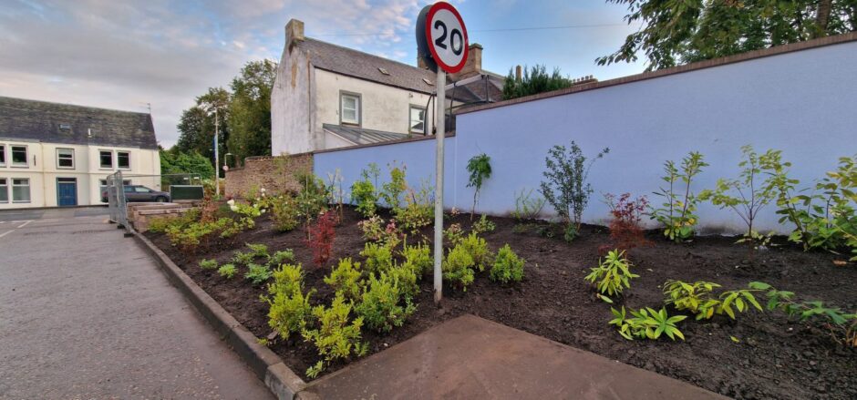 Sandy Gunn garden in Auchterarder, trees and shrubs in foreground and walled area where bench will go behind