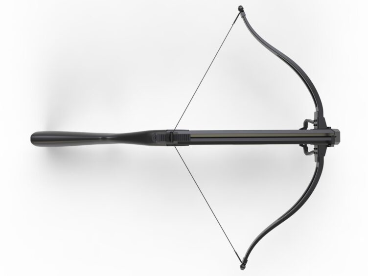 A crossbow