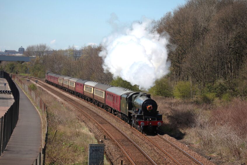 Steam train Bahamas at Carolina Port in 2023 with a stand of trees to the side