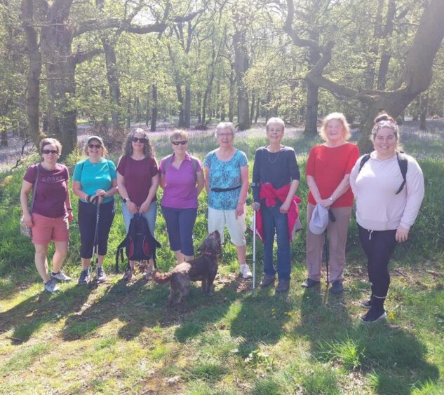 Group of eight woman and dog on a walk through bluebell woods