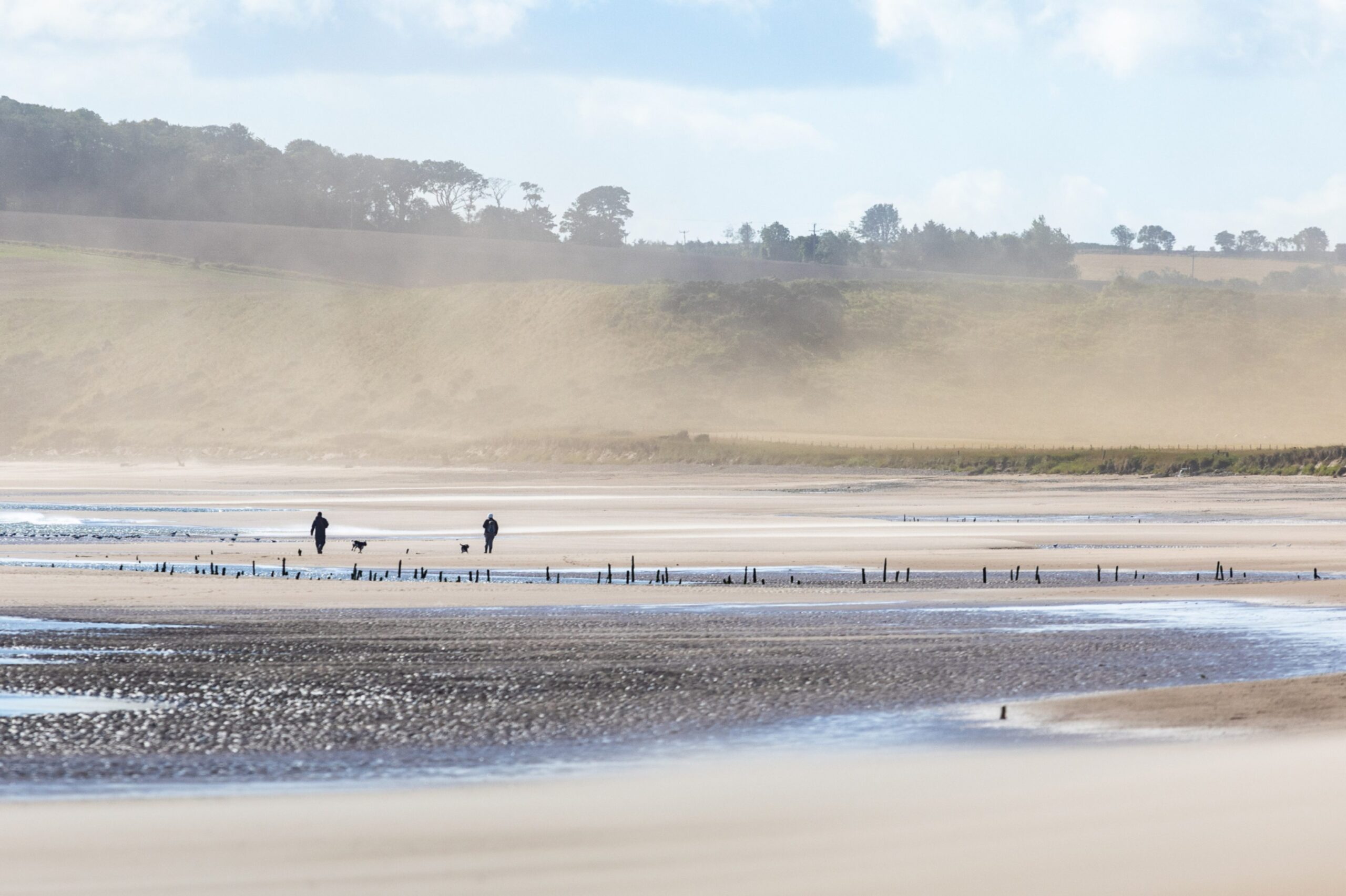 Sand blowing at Lunan Bay in Angus.