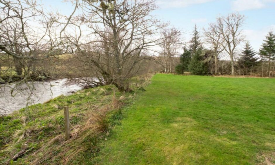 Garden at Kirkside House in Angus.