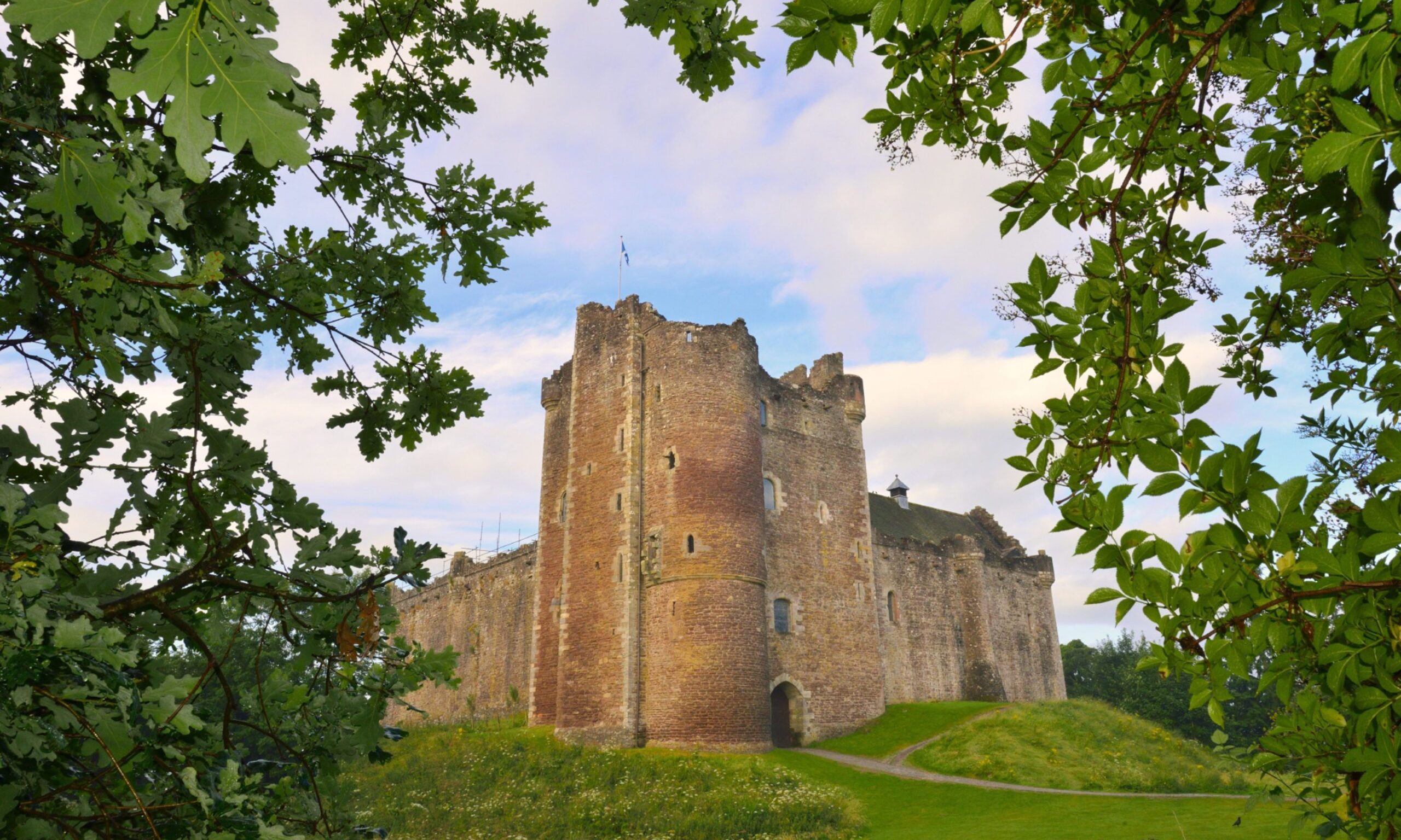 The view from a Stirlingshire walk: A slightly-ruined light-coloured stone castle with turrets sits on a grassy hill, framed by leaves from trees