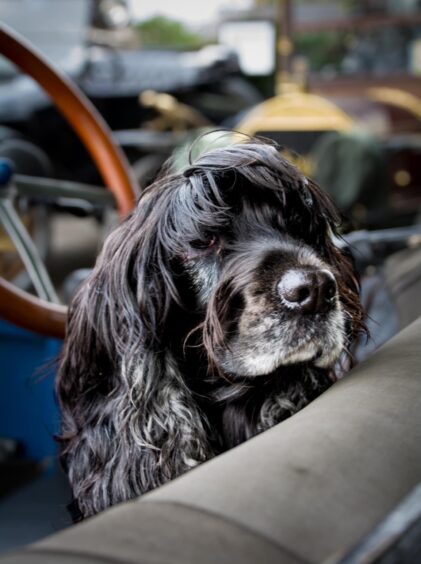 Veteran Car Club Angus tour