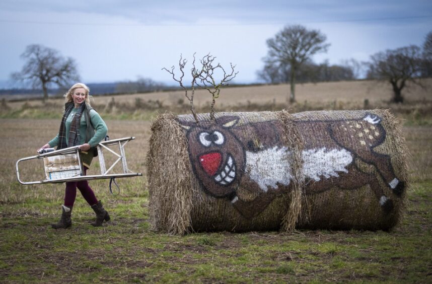 Bale artist Fleur Baxter of Angus.