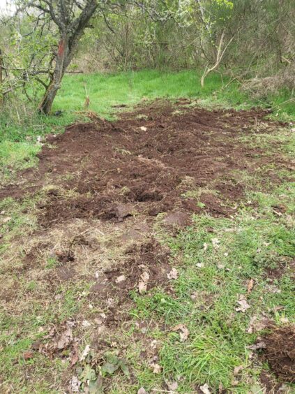 The disturbed ground at Auchtermuchty after the four-day police forensic search.