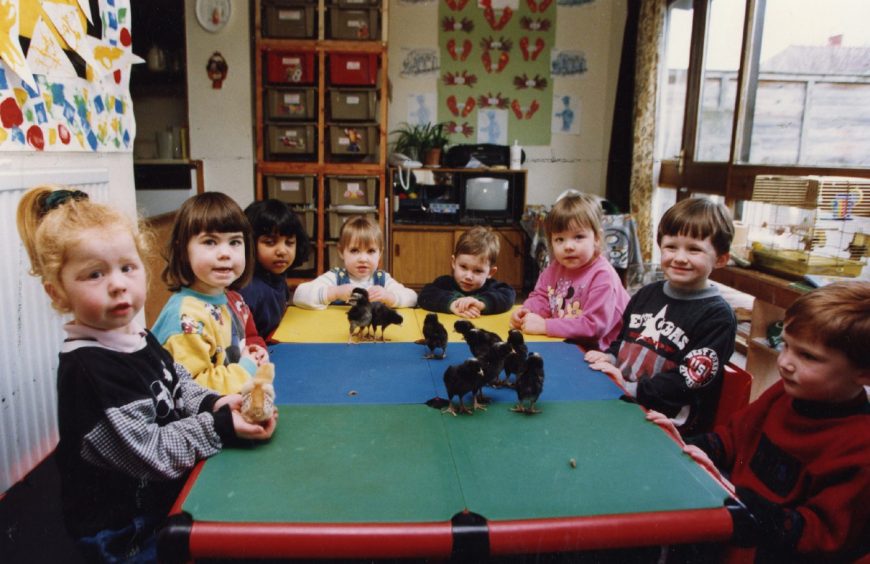 Easter chicks visiting the children at Treetops Nursery are placed on a table for the kids to hold