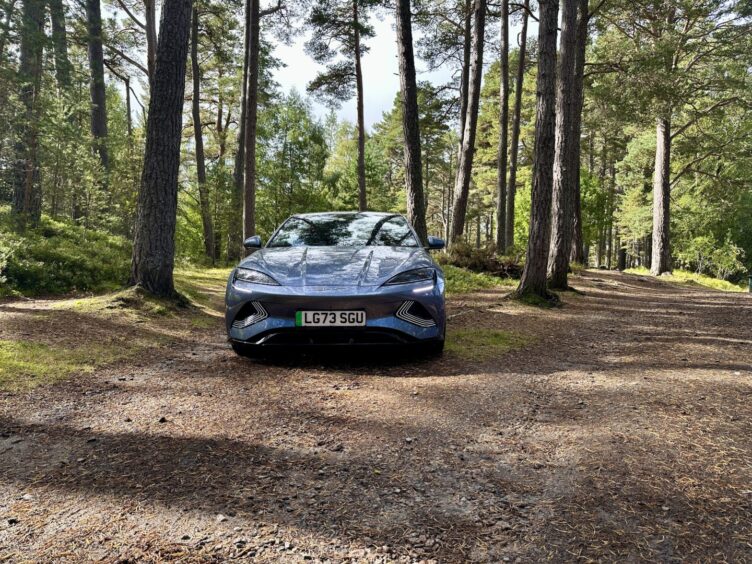 the car parked on a wooded path