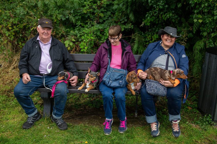 3 friends and their dogs enjoy sit watching the event. 