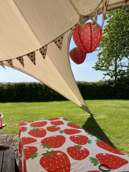 Image shows: A sail tent pitched and decorated in a strawberry theme to illustrate kids parties at Cairnie Fruit Farm in Fife.