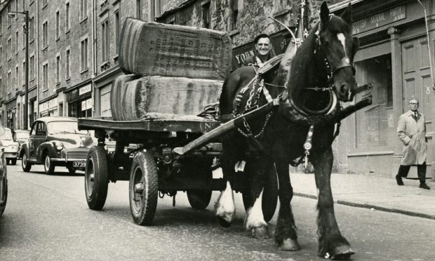 a man sits on a cart drawn by a horse as car follows them down a Dundee street