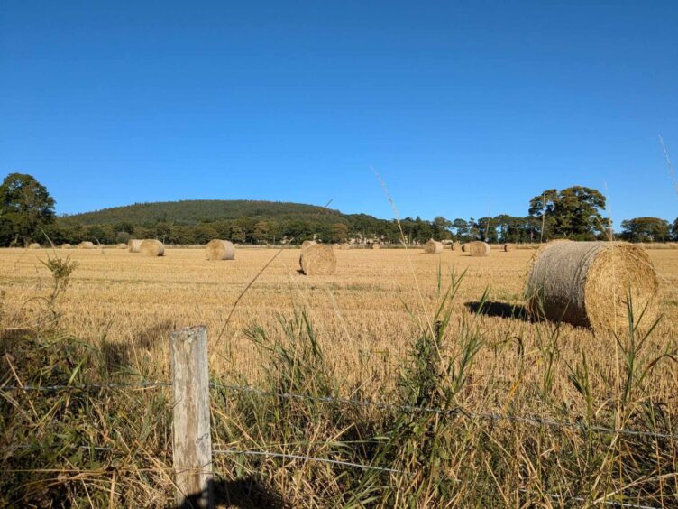 A view of Fothringham Hill and a field of hay bales. Image: Gayle Ritchie.