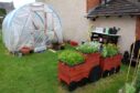 Angus Council say the community garden was set up without proper permission. Image: Wallace Ferrier