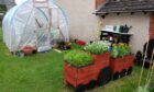 Angus Council say the community garden was set up without proper permission. Image: Wallace Ferrier