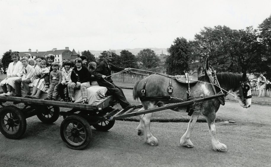 a Clydesdale horse giving children a ride on a cart in July 1987 at Dudhope Park.