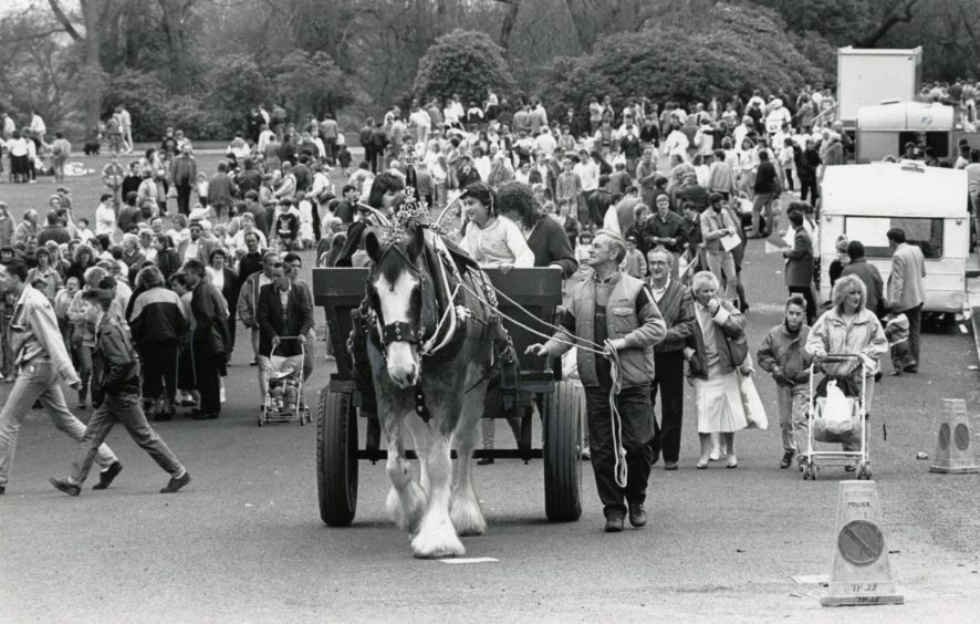 crowds in a park as people go on a horse and cart ride