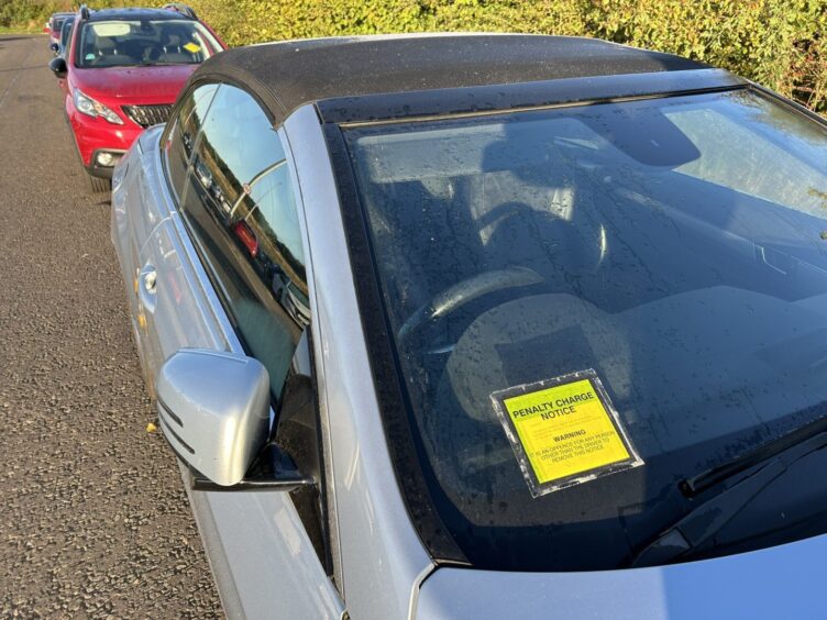 Some of the cars which had been ticketed.