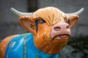 Close up of Hairy Highland Coo sculpture's head