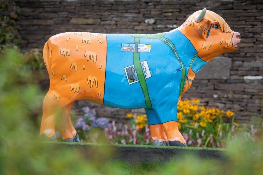 Painted Highland cow sculpture in Auchterarder