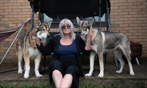 CR0049460, Rebecca Baird, Dundee. Photos of Irene Stewart and her Norther Inuit 'wolfdogs' Ember and Rebus. Can we have a mix please, some solo portraits of Irene, some with her and both dogs, some with just her and Ember, and some with the dogs on their own? New mag franchise, Pet Tales. Picture Shows; Irene Stewart with Rebus and Ember, Burnside Walk, Dundee, 09th August 2024. Image: Kim Cessford / DC Thomson