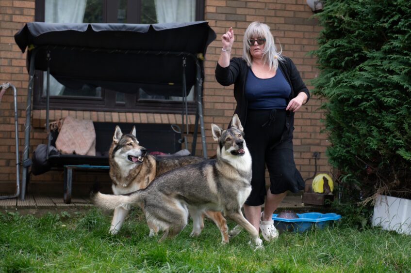 Irene Stewart with her Northern Inuit dogs Rebus (back) and Ember.