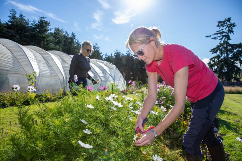 Louise at work in the community garden in Fife