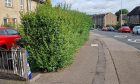 Officers taped off the an area of Ballindean Road following the incident