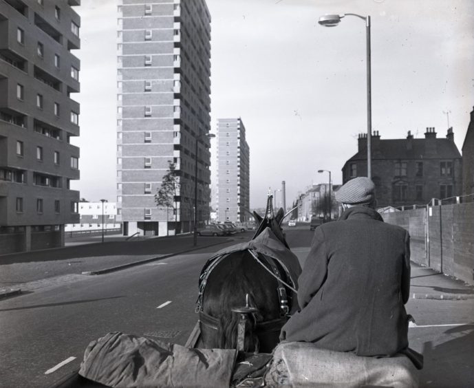 Paddy and Chic seen from behind, chic sitting on the cart as the horse pulls them past some Dundee high-rise blocks