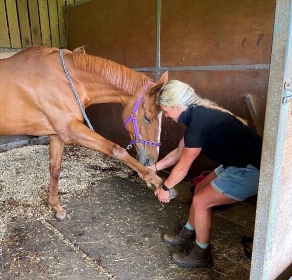 Nicola works as an equine sports therapist.