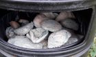 The mouldy rolls in a bin at Gillingshill Nature Reserve. Image: Fife Council Planning/X