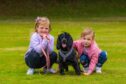 Friends (left) Poppy (aged 5) and Rebecca (right, aged 5) from Dundee with Rebecca's dog Skye (aged 1)
Image: Steve MacDougall/DC Thomson