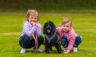 Friends (left) Poppy (aged 5) and Rebecca (right, aged 5) from Dundee with Rebecca's dog Skye (aged 1)
Image: Steve MacDougall/DC Thomson