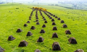 Collessie's Dragon's Teeth formed part of the Scottish Command Line, Image: Steve Brown/DC Thomson