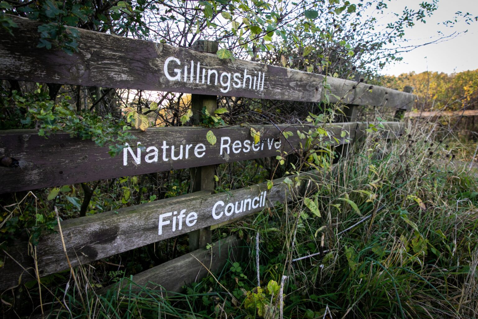 Mystery over piles of mouldy rolls dumped at Fife nature reserve
