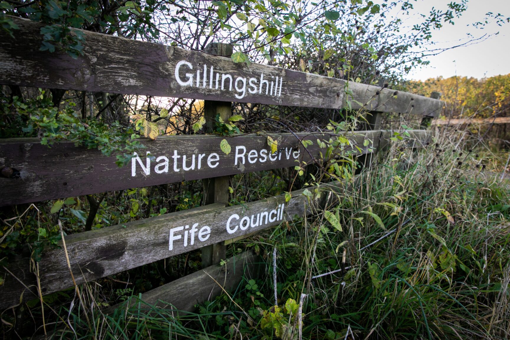 Mystery over piles of mouldy rolls dumped at Fife nature reserve