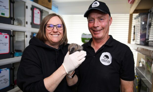 Sharon and Andy Longhurst of Burntisland Hedgehog Haven