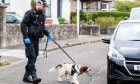 Police with a dog during the raid in Fairmuir, Dundee. Image: Steve Brown/DC Thomson