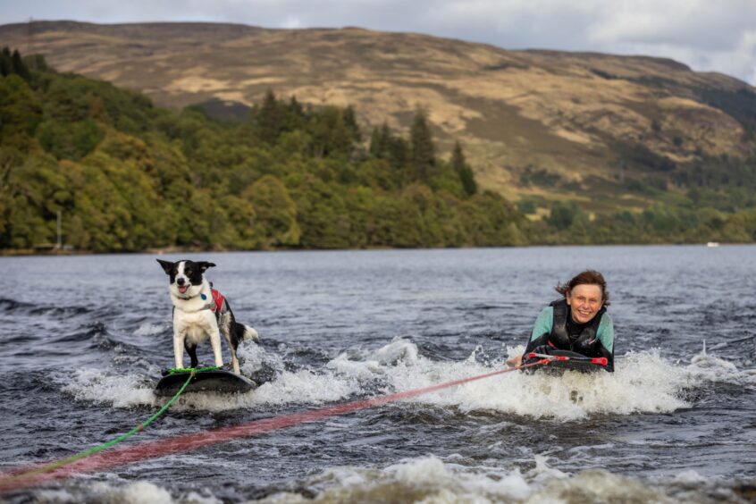 Border Collie Voe and Cathy waterskiing on Loch Earn. Image: Steve Brown/DC Thomson.