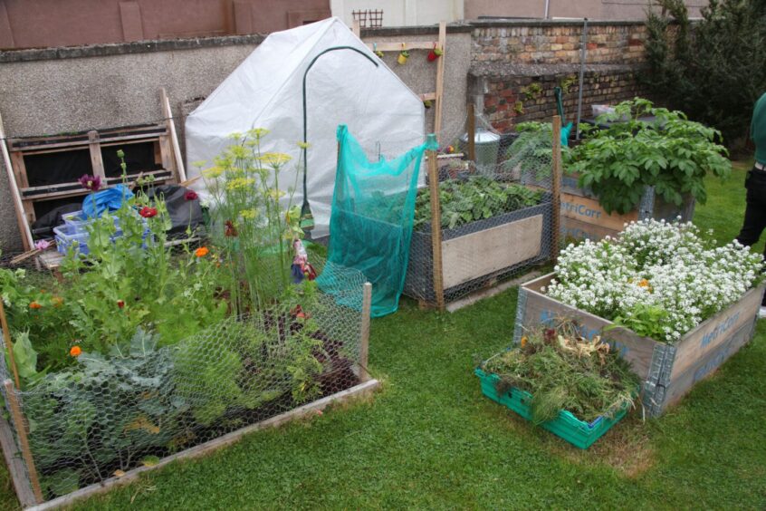 Arbroath community garden at Dishlandtown Street.