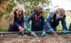 Students digging and learning outside at St Leonards School.