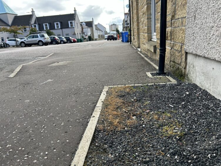 The tarantula was found on gravel outside the house on Beatty Crescent in Kirkcaldy.