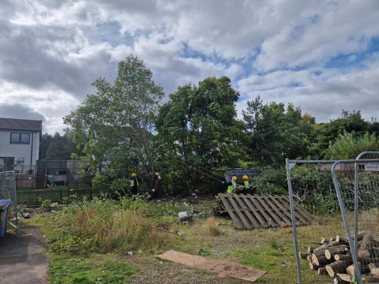 Workers began clearing some trees by the burn at Heron Rise on Thursday. 