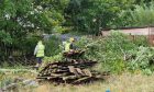 Trees being cut down at Heron Rise. Image: Andrew Robson/DC Thomson