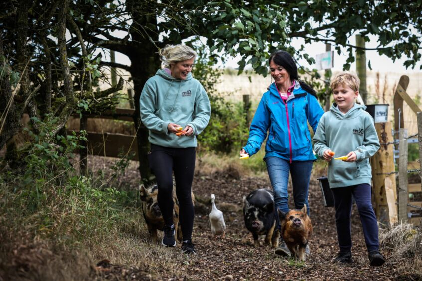 Gayle with Kirsty Brown and her son Joe Brown, 7 with the pigs and their best mate Dobby the duck. Image: Mhairi Edwards/DC Thomson.