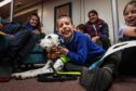 Small boy hugging dalmation dog with a huge smile on his face