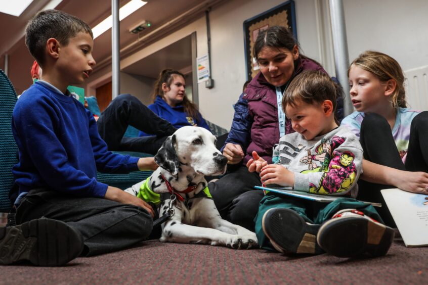 Dalmation dog in small group of primary school aged children