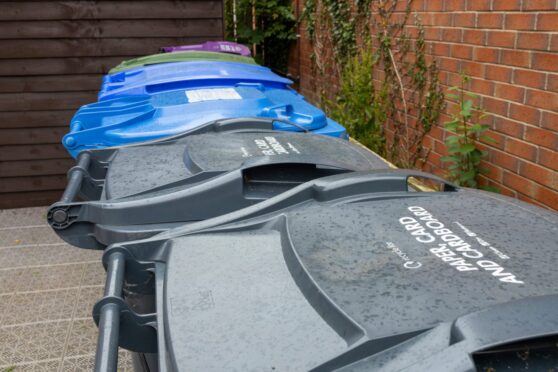 wheelie bins lined up