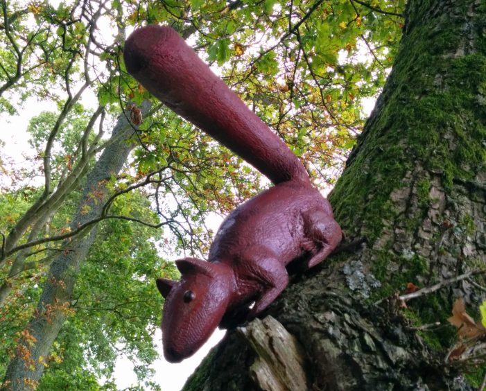 Wooden squirrel in tree